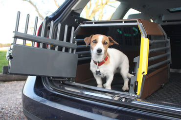 MIM Safe Variocage MiniMax Car Crash Tested Small Dog & Cat Crate Dog inside