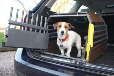 MultiCage Dog Transport Kennel System – AdeoPets