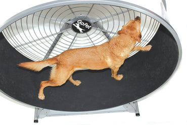GoPet CG6020 Treadwheel for Medium -Large Dogs, up to 150lbs