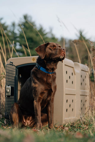 Dakota 283 G3 Framed Door Kennel - Portable Dog Travel Crate