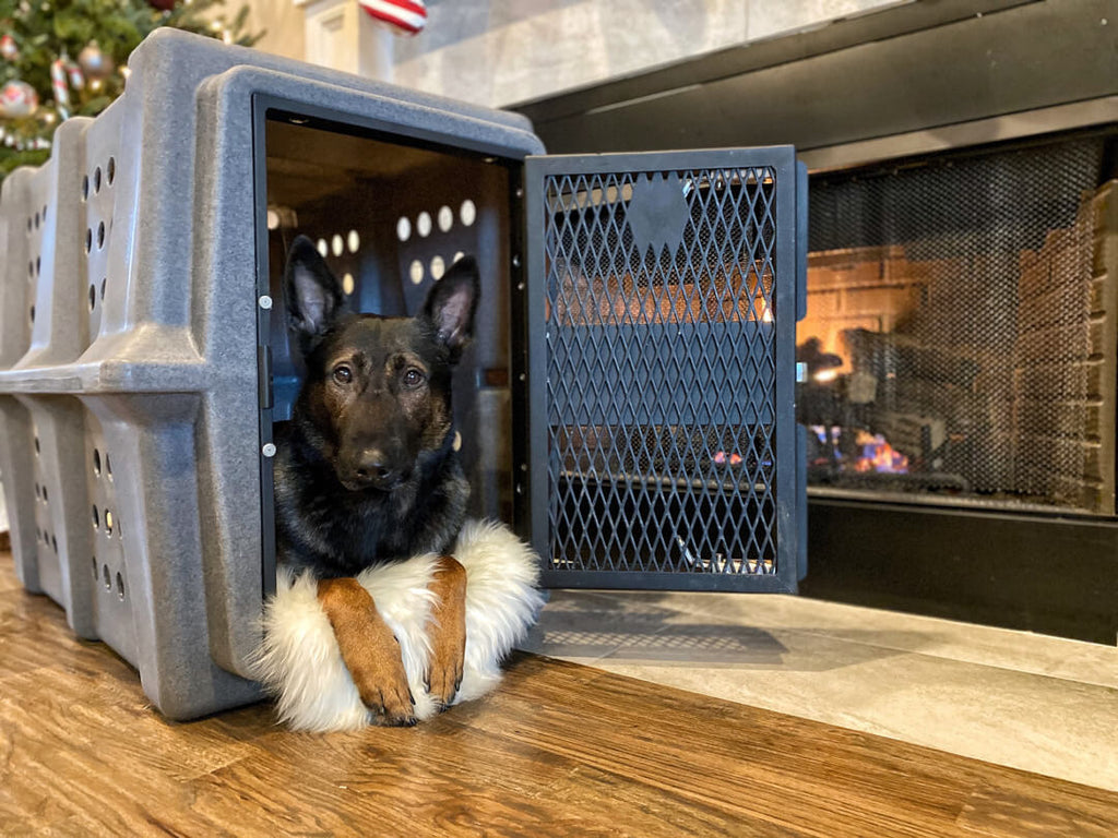 Impact Crate Crate Size For Belgian Malinois German Shepherd K9