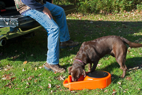 Dakota 283 "Dine N Dash" Feeding and Watering Bowl DD