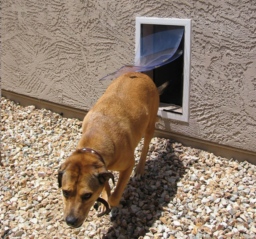 Hale Pet Doors for Walls Secure Dog Door for Int Ext Walls AdeoPets