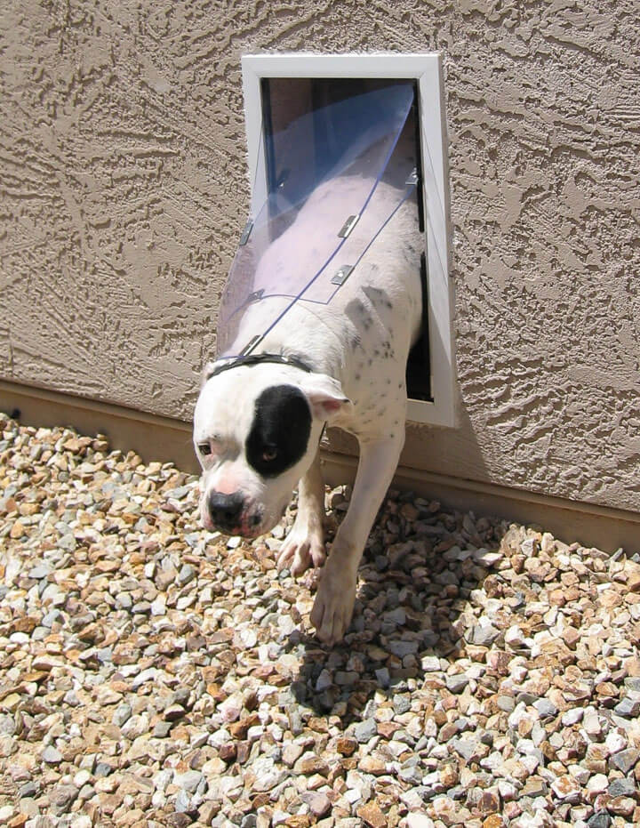 Hale Pet Doors for Walls Secure Dog Door for Int/Ext Walls AdeoPets