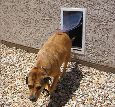 Hale Pet Door Wall Mounted Secure Dog and Cat Door outside
