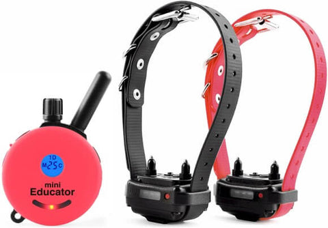E-Collar ET-302 Mini Educator 1/2 Mile Remote 2-Dog Trainer in Pink