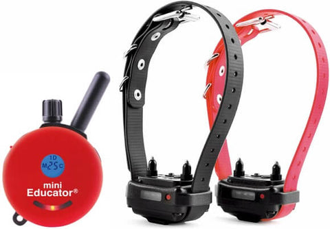 E-Collar ET-302 Mini Educator 1/2 Mile Remote 2-Dog Trainer in Red