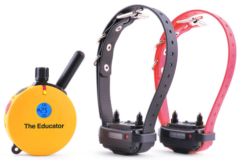 E-Collar ET-402 Easy Educator 3/4 Mile Remote 2-Dog Trainer Collar