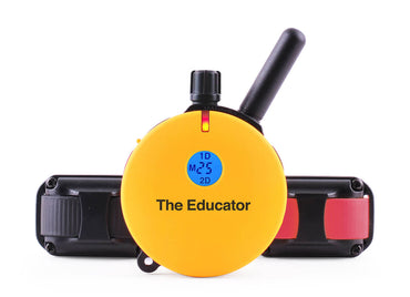 E-Collar ET-402 Easy Educator 3/4 Mile Remote 2-Dog Trainer Collar