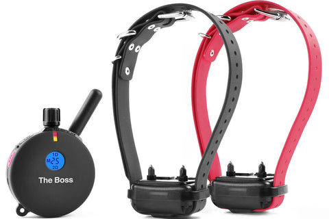 E-Collar ET-802 Boss Educator 1 Mile Remote Dog Trainer Collar for 2 Large/Stubborn Dogs