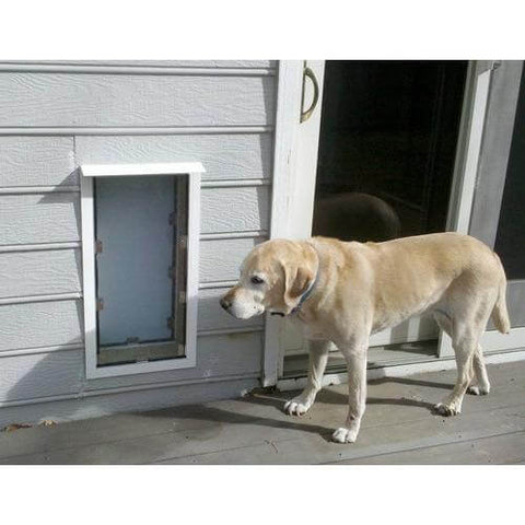 Hale Pet Door Wall Mounted Secure Dog and Cat Door dog using
