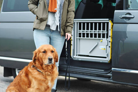 MIM MultiCage Crash Tested Multi-Dog Transport Kennel Double in a van