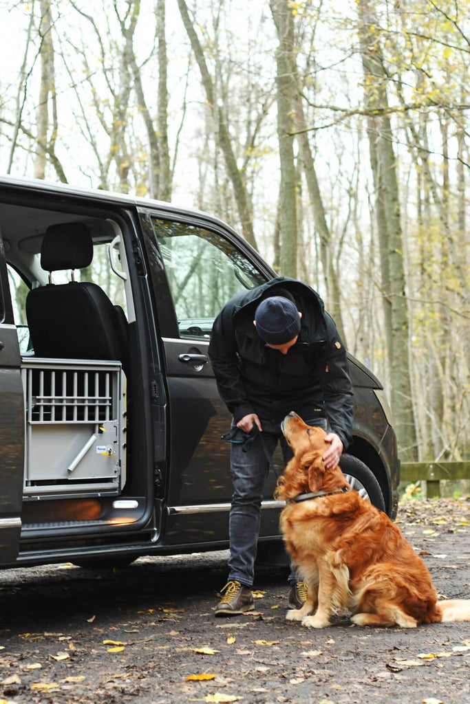 MultiCage Dog Transport Kennel System – AdeoPets