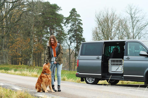 MIM MultiCage Crash Tested Multi-Dog Transport Kennel in a sprinter van