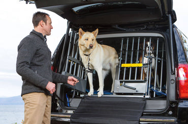 MIM Safe Variogate  Crash Tested Dog Cargo Barrier and Gate for SUVs and Hatchbacks Medium (M) 53253