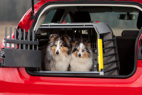 MIM Safe Variocage Compact Extra Large (XL) 00368 car crash test crate for hatchbacks with two dogs