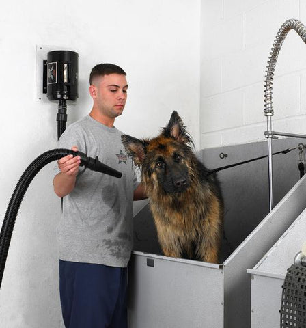 MetroVac Air Force Blaster Professional Dog Grooming Dryer wall Mount