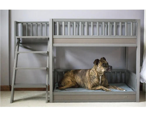 New Age Pet Aspen Pet Bunk Bed