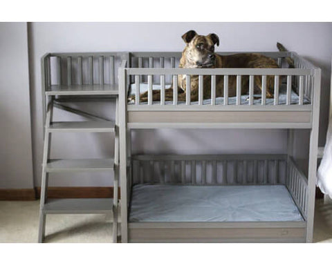 New Age Pet Aspen Pet Bunk Bed