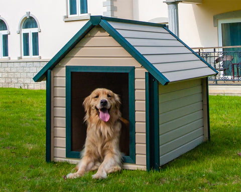 New-Age-Pet-Bunkhouse-Dog-House-Maple-With-Green-Trim