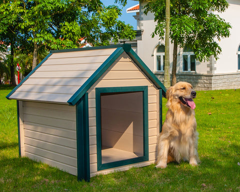 New-Age-Pet-Bunkhouse-Dog-House-Maple-With-Green-Trim