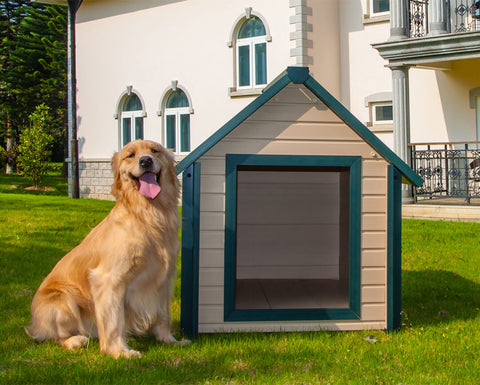 New-Age-Pet-Bunkhouse-Dog-House-Maple-With-Green-Trim