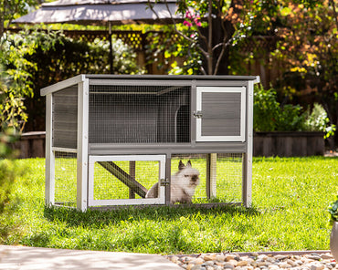 New-Age-Pet-Columbia-Rabbit-Hutch-Gray-with-White-Trim