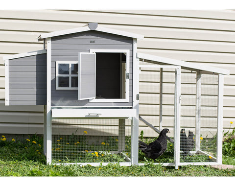 New Age Pet Hampton Chicken Coop with Pen