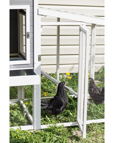 New Age Pet Hampton Chicken Coop with Pen