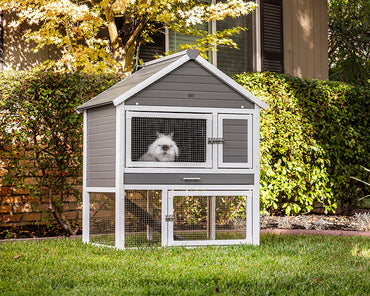 New Age Pet Huntington Townhouse Rabbit Hutch