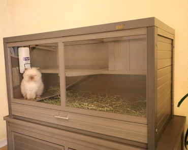 New-Age-Pet-Jumbo-Park-Avenue-Small-Animal-Hutch-Gray