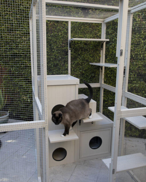 Katio New Age Pet Kitty Katio House – AdeoPets