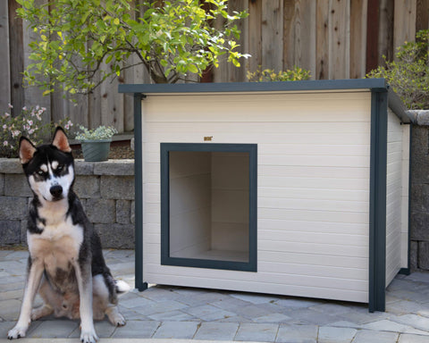 New-Age-Pet-Rustic-Lodge-Dog-House-Maple-With-Green-Trim