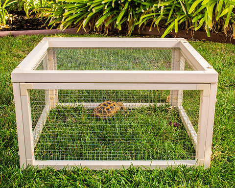 New-Age-Pet-Sonoran-Tortoise-Pen-Maple