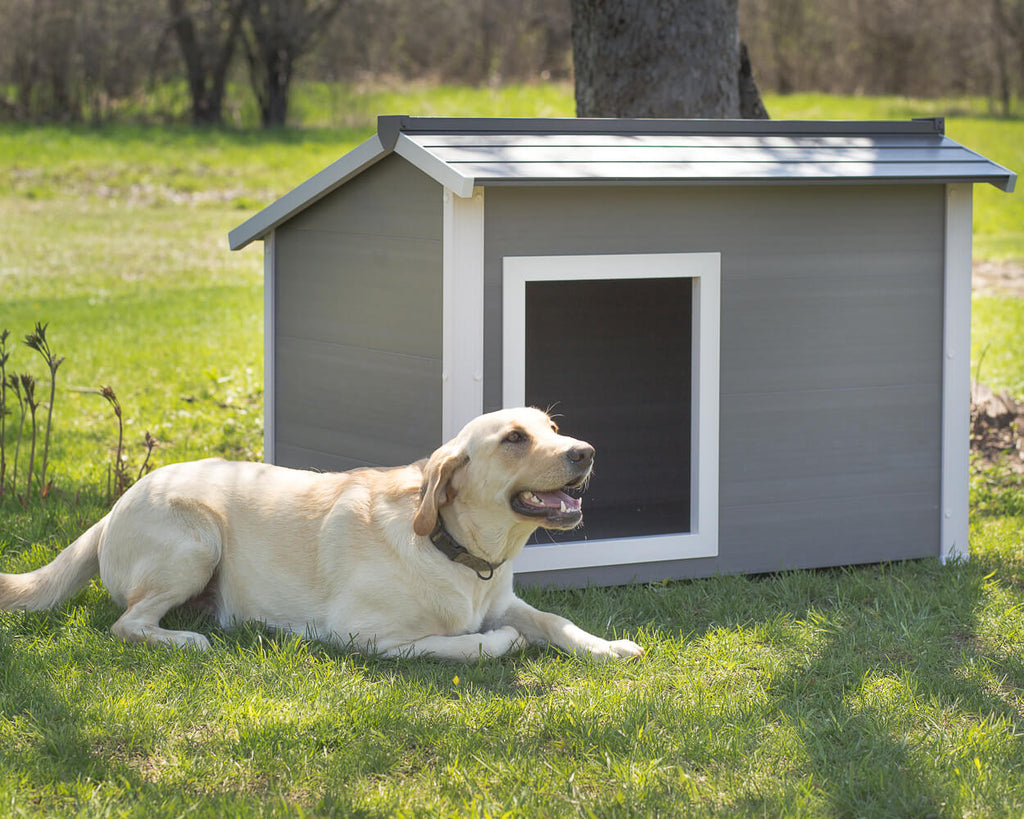 Super insulated dog house new arrivals
