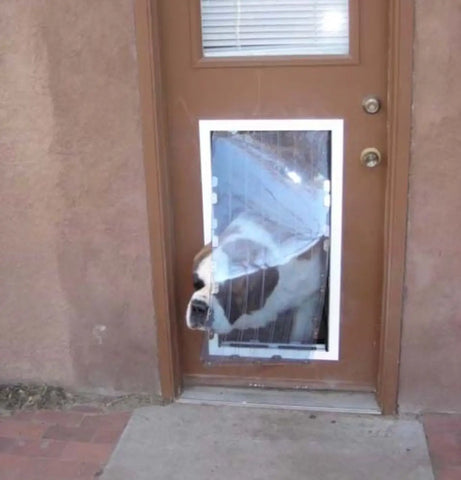 Security Boss MaxSeal Pet Door for Doors