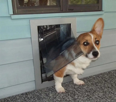 Maxseal pet door best sale