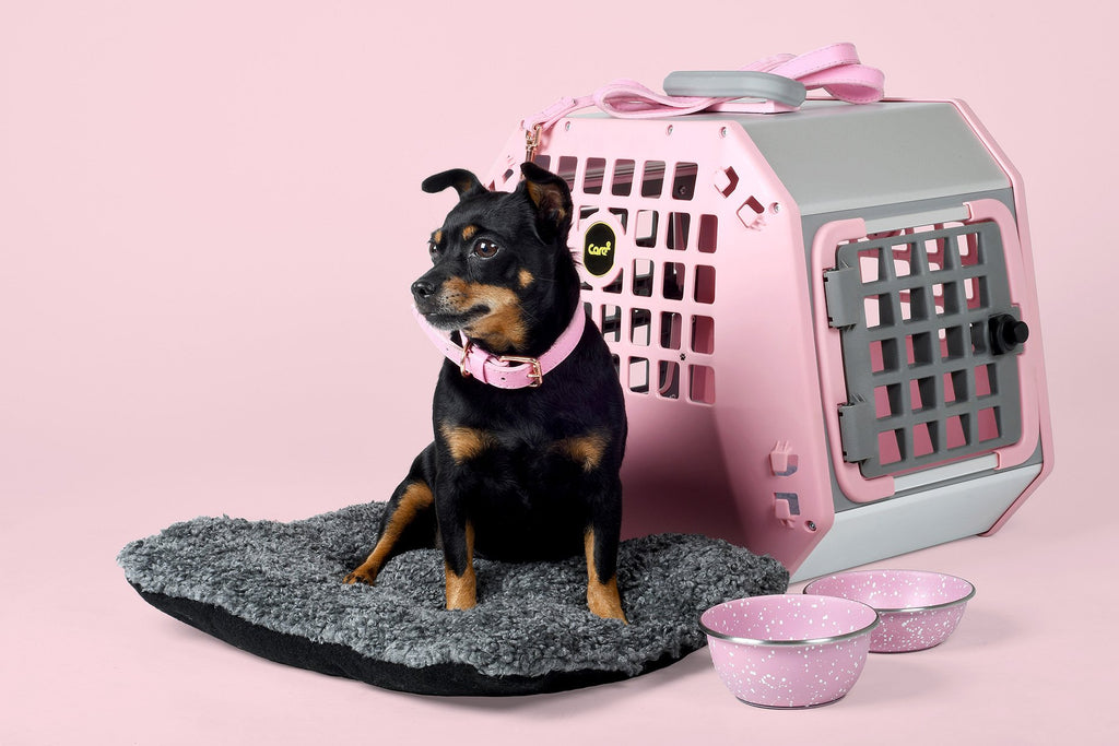 MIM Care2 Pet Carrier