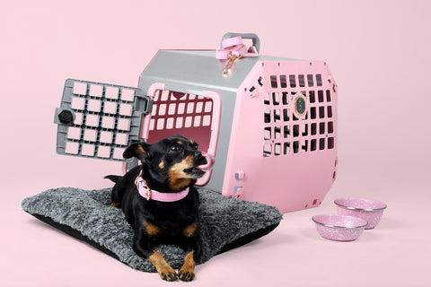 MIM Care2 Pet Carrier