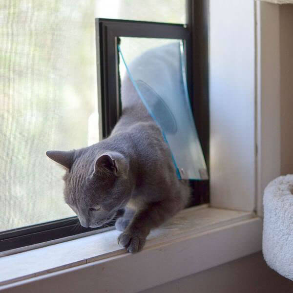 Cat door for window screen online