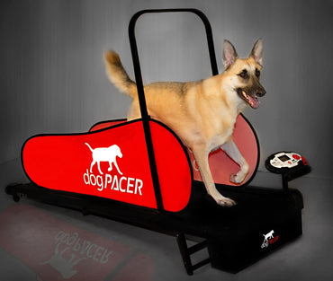 DOGPACER LF 3.1 FOLDING FITNESS DOG TREADMILL FOR DOGS UP TO 179 LBS