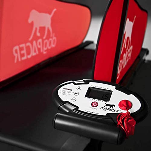 Mini pacer hotsell dog treadmill