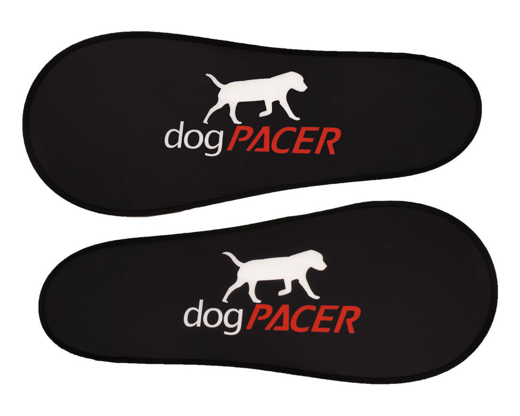Dogpacer best sale mini treadmill