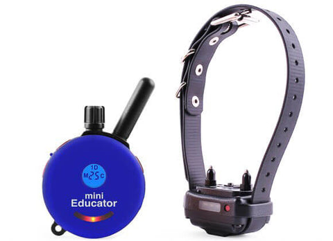 e-Collar ET-300 MINI Educator 1/2 mile remote dog collar in blue