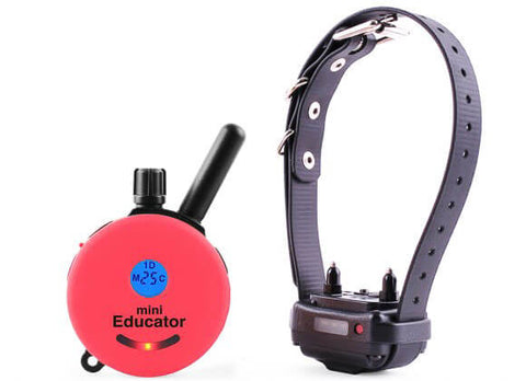 e-Collar ET-300 MINI Educator 1/2 mile remote dog collar in pink