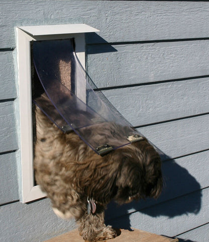 Hale Pet Door Wall Mounted Secure Dog and Cat Door dog exiting