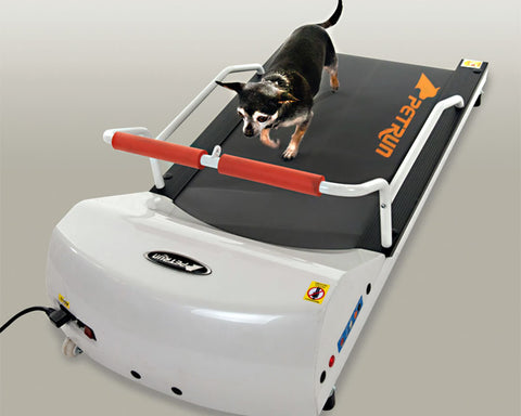 GoPet PetRun RP700 Treadmill for Small Dogs and Toy Dogs