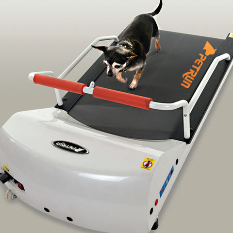 Treadmills & Treadwheels