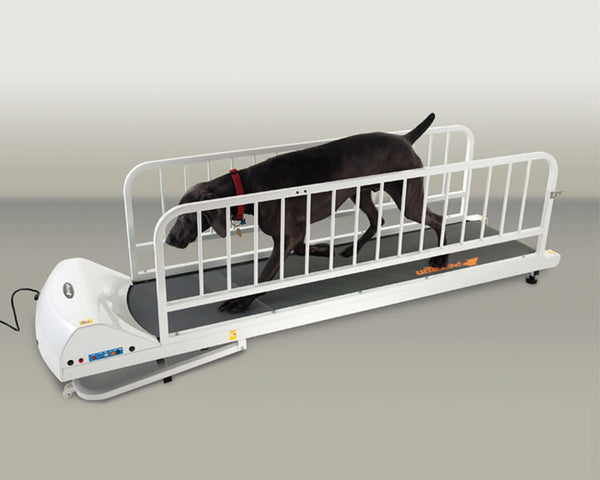 GoPet PR700 PetRun Dog Treadmill
