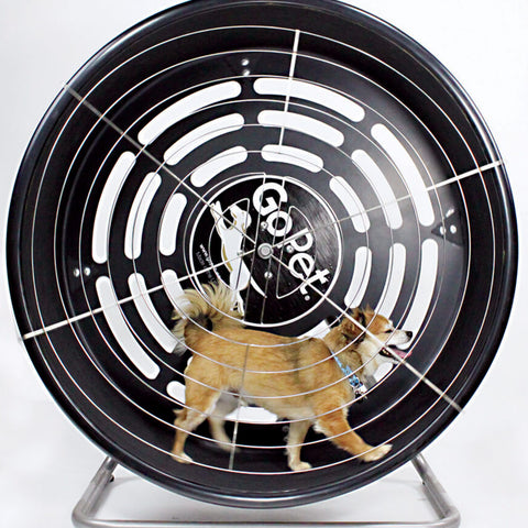 Treadmills & Treadwheels
